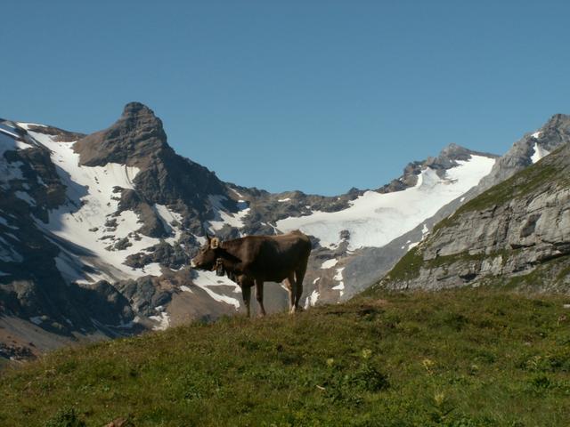 chli Tödi, Kuh und Sandgletscher