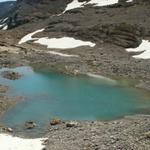 das einzige Farbige in dieser Gegend. Ein kleiner See 2464 m.ü.M. kurz vor der Claridenhütte