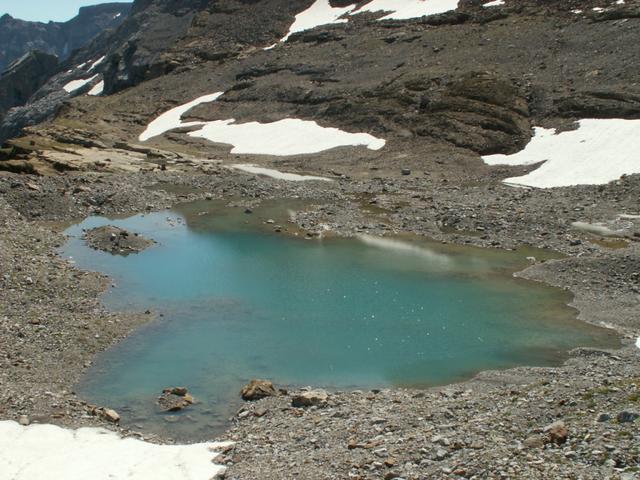 das einzige Farbige in dieser Gegend. Ein kleiner See 2464 m.ü.M. kurz vor der Claridenhütte