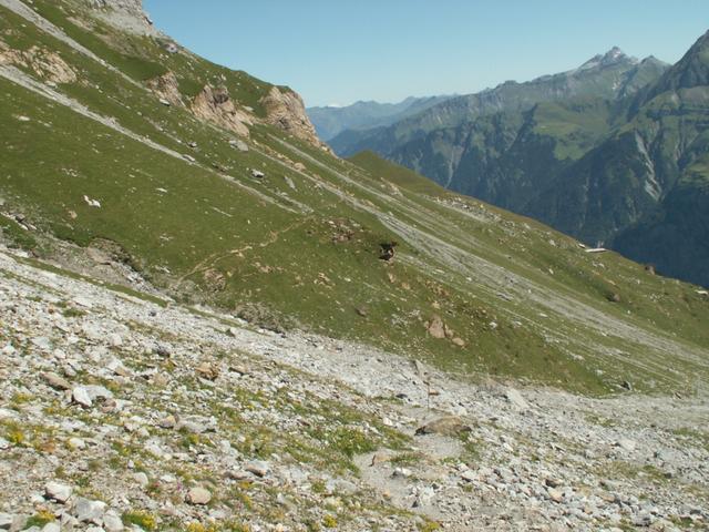 kurz vor Geissstein