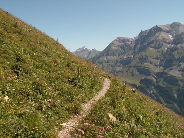 wirklich ein schöner Höhenweg