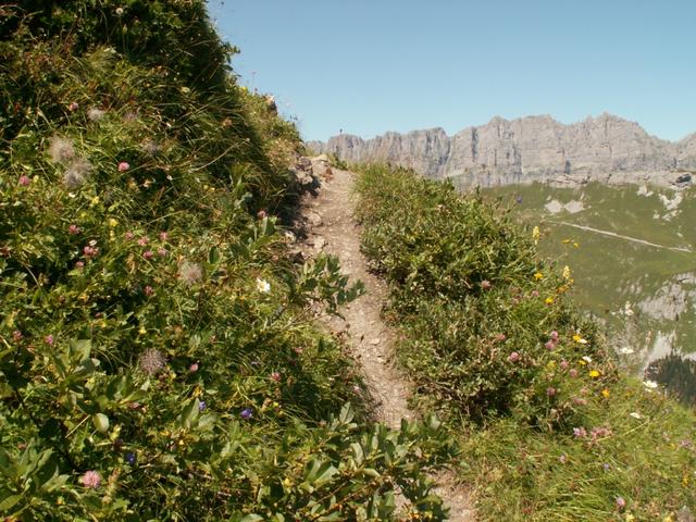 kurz danach wir der Weg steil