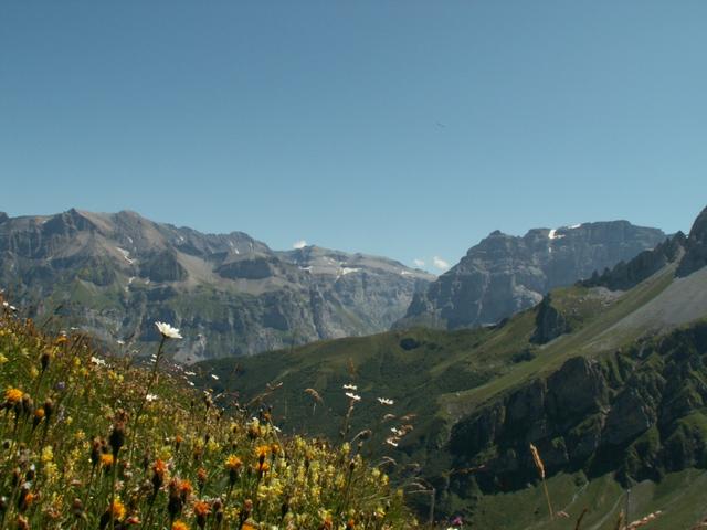 Nüschenstock und Selbsanft