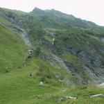 über Alpgelände bei Alp Biflen führt der Weg aufwärts