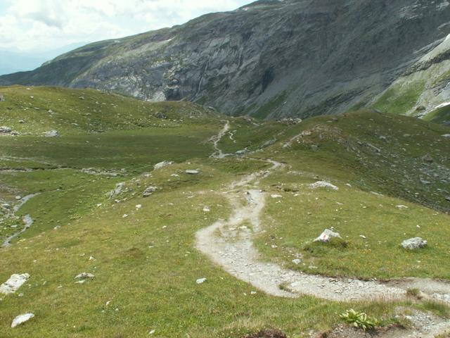 auf den Weg Richtung Plaun Segnas Sut