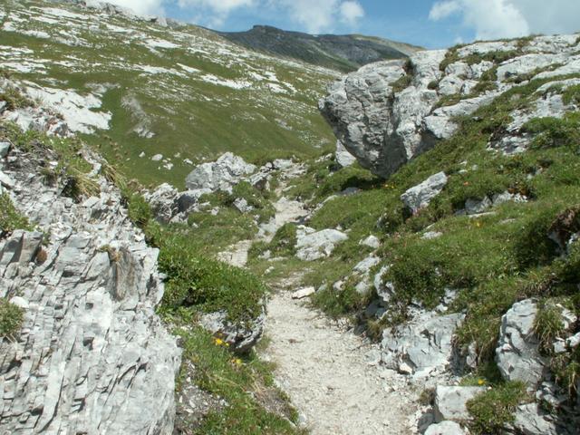 bei der Wegkreuzung auf 2091 m.ü.M. Richtung Naraus