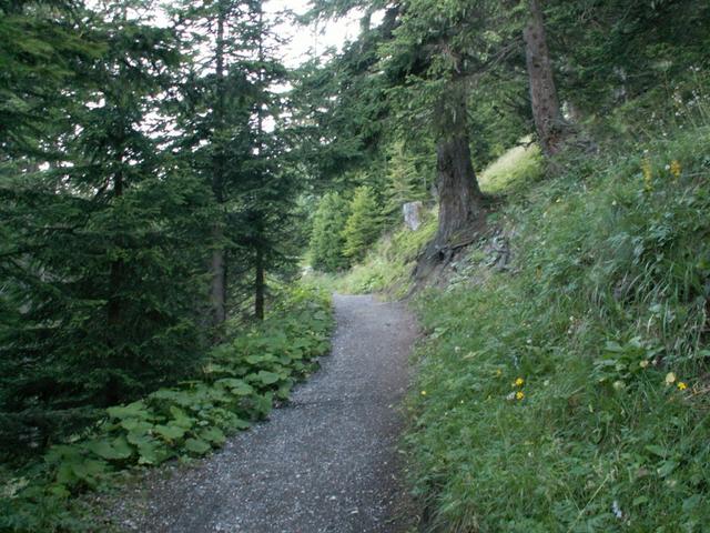 wir haben die Bergstation verlassen