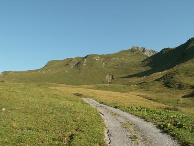 auf dem Weg Richtung Kamm