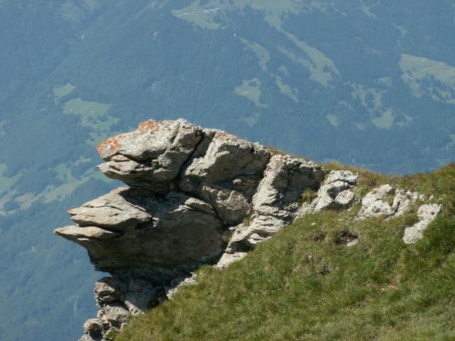 sind das nicht 2 Frösche übereinander ?