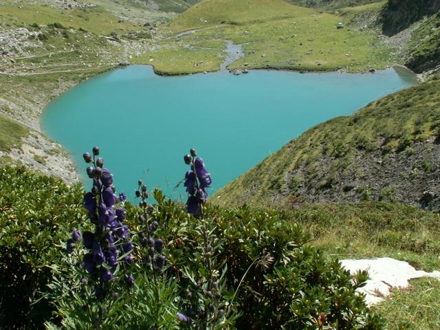 Blick zum Oberst See