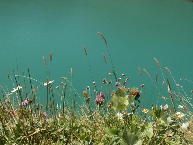 so schön diese Natur