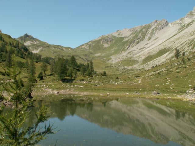 Blick vom Unterst See zum Falknis