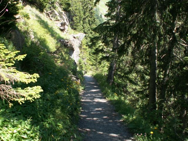 auf dem Weg Richtung Bergstation