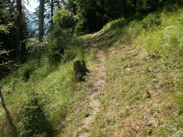 steiler Waldweg aufwärts Richtung Alpe de Bec sot