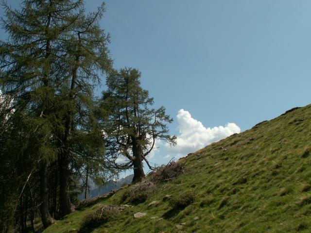 perfektes Wanderwetter