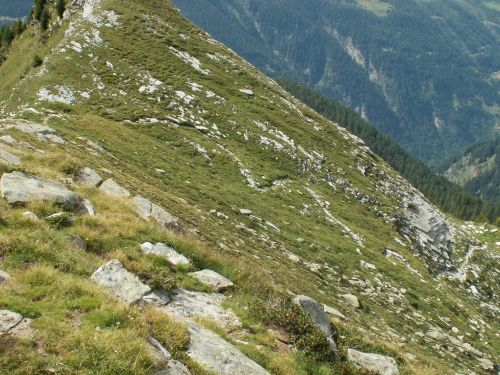 gut ersichtlich der Weg der uns zur Capanna Buffalora bringen wird