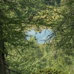 der kleine Bergsee vor der Capanna Buffalora