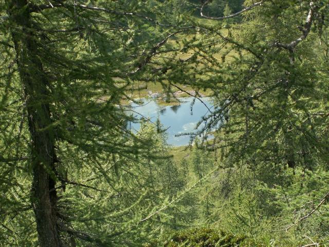 der kleine Bergsee vor der Capanna Buffalora