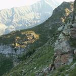 Blick zurück zum Pass de Buffalora