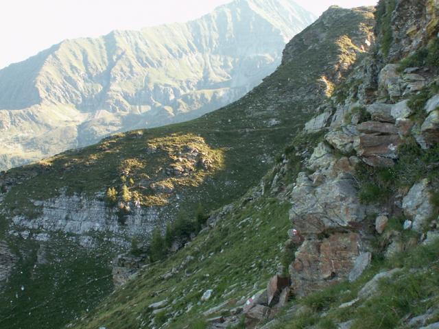 Blick zurück zum Pass de Buffalora