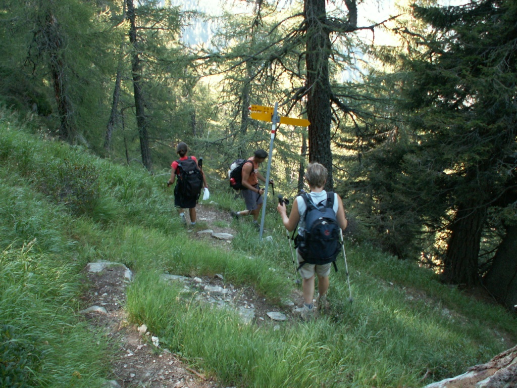 Wegweiser beim Motta del Perdül 2003 m.ü.M. Hier könnte man nach Selma runterlaufen