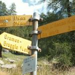 Wegweiser bei der Alp di Fora