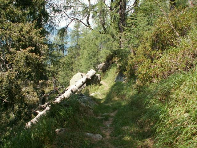 unser zurückgelegter Weg