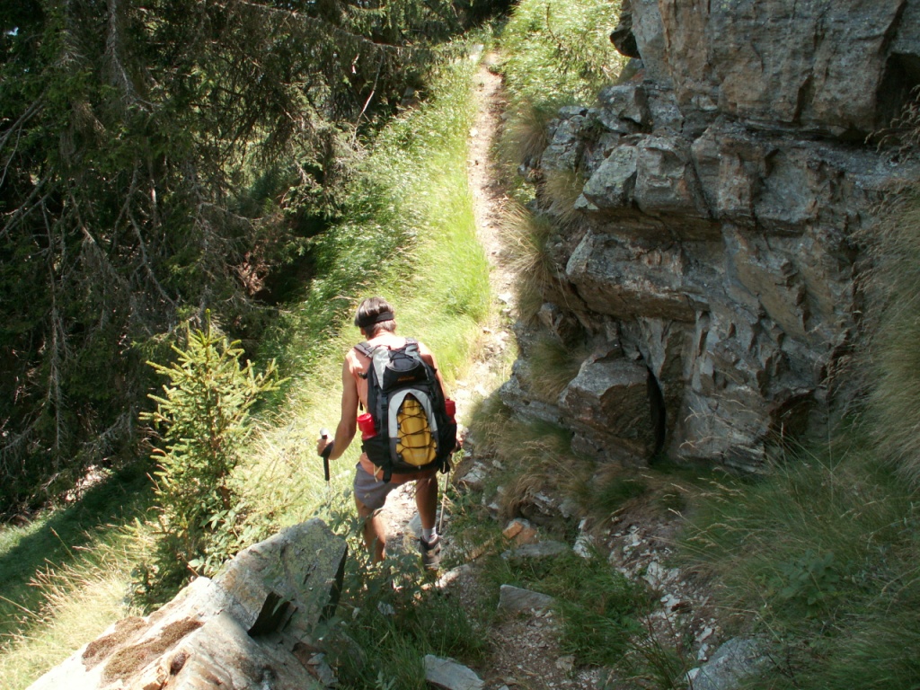 über einen gut angelegten Waldweg