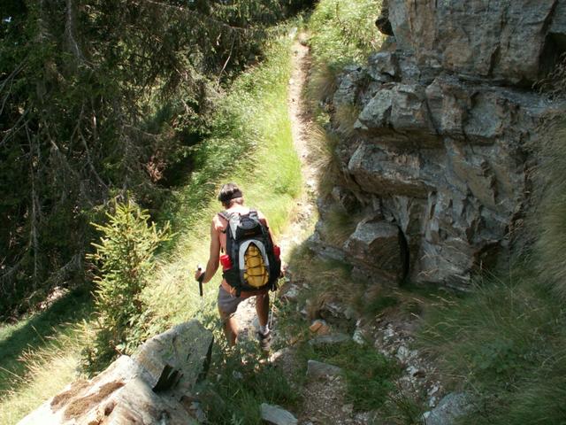 über einen gut angelegten Waldweg