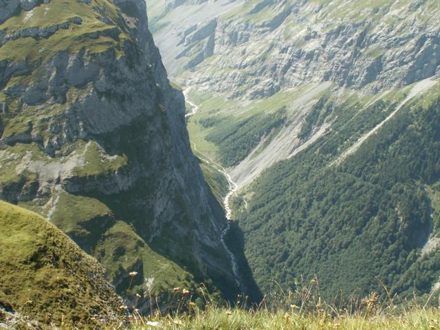 Blick runter zum Sandbach und der Pantenbrücke