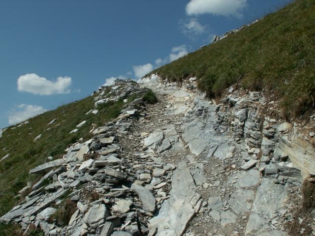 der gut ausgebaute Bergpfad