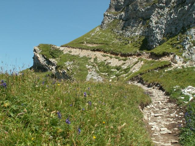 bei Chalchtrittli 2237 m.ü.M.