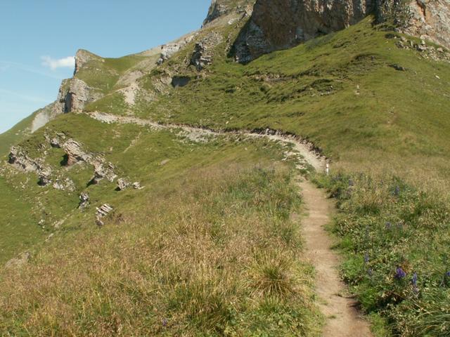 gemühtlich führt der Weg aufwärts