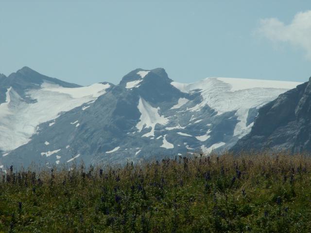 Sandfirn, Hinter Spitzalpelistock und Claridenfirn