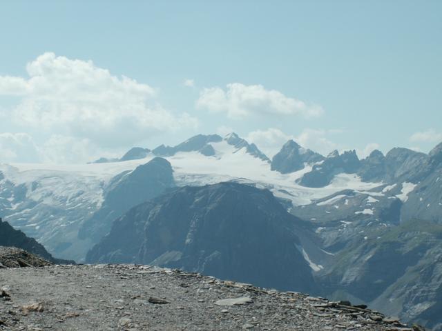 schöne Aufnahme des Clariden