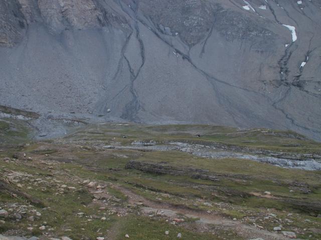 von der Hütte aus, geht es zuerst ein bisschen abwärts