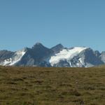 Blick zu den Brigelser Hörner