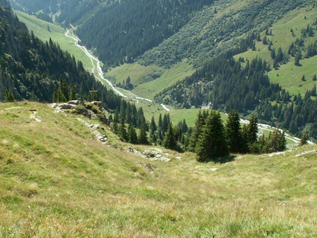 steil aber sehr schön führt nun der Weg 550 Höhenmeter runter ins Val Frisal