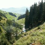 auf dem Weg Richtung Brigels