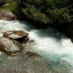 Glasklares Wasser, der Wildbach Flem