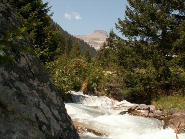 Wildbach Flem mit Kistenstöckli