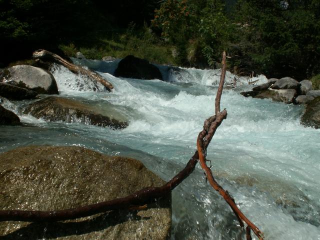 ein sehr schöner Wildbach