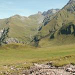 Blick von Alp Valtüsch Richtung Oberlavtinatal