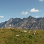Blick zum Tristelhorn