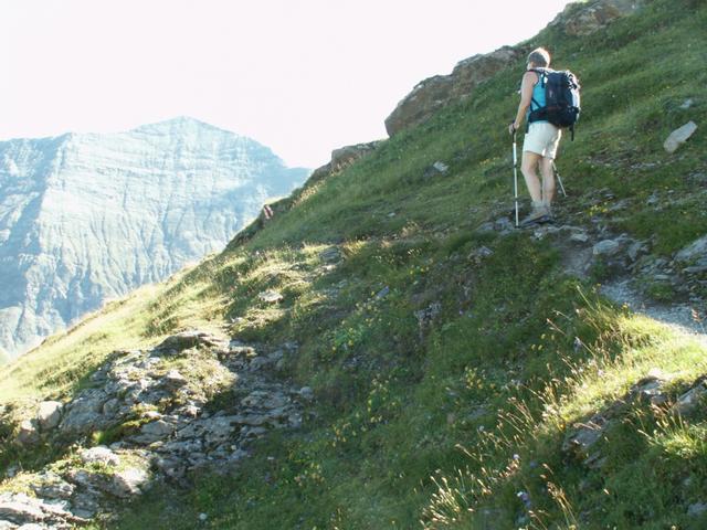 Mäusi auf dem Weg Richtung Sardonahütte. Im Hintergrund der Piz Sax