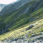 unzählige Bäche, die vom Sardonagletscher stammen, müssen überquert werden