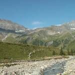 Blick zurück zur Sardonahütte, Trinserhorn und Piz Sardona