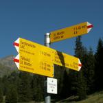 Wegweiser bei der Sardonahütte