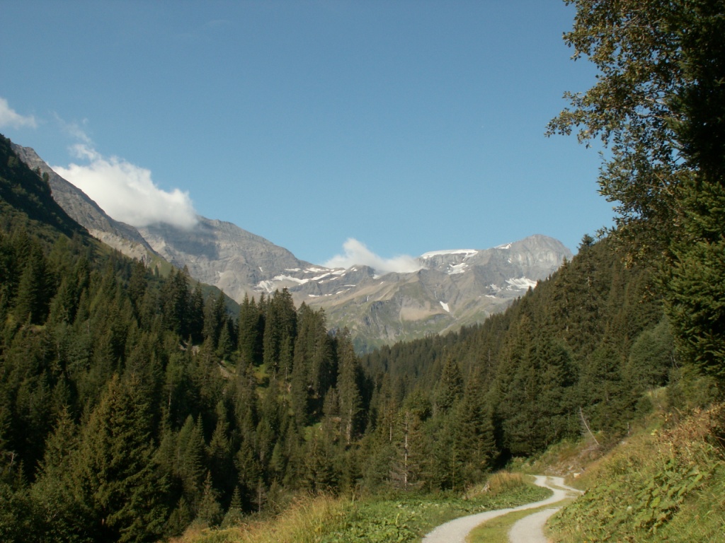Blick zurück zur Sardonahütte, Trinserhorn und Piz Sardona