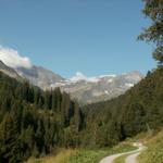 Blick zurück zur Sardonahütte, Trinserhorn und Piz Sardona